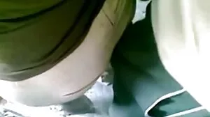 سینگ ہم جنس پرست گرل چاٹ بلی