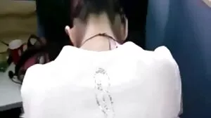فینسی لیٹیکس پنجروں