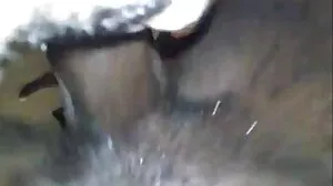 کالی کافی