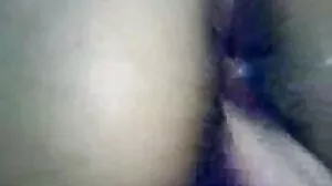 Orgasmic پر روشنی ڈالی گئی-16 ویڈیو